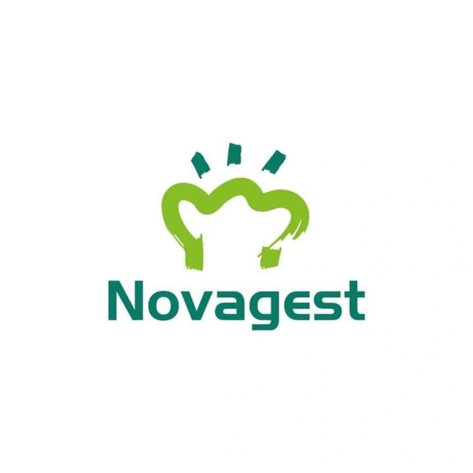 Logo de Novagest – Serviços e Gestão, S.A.