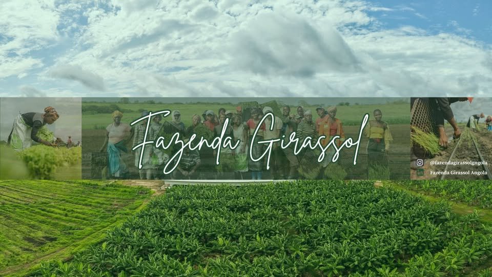 Banner de Fazenda Girassol Angola