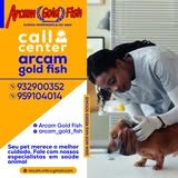 Banner de ARCAM GOLD FISH