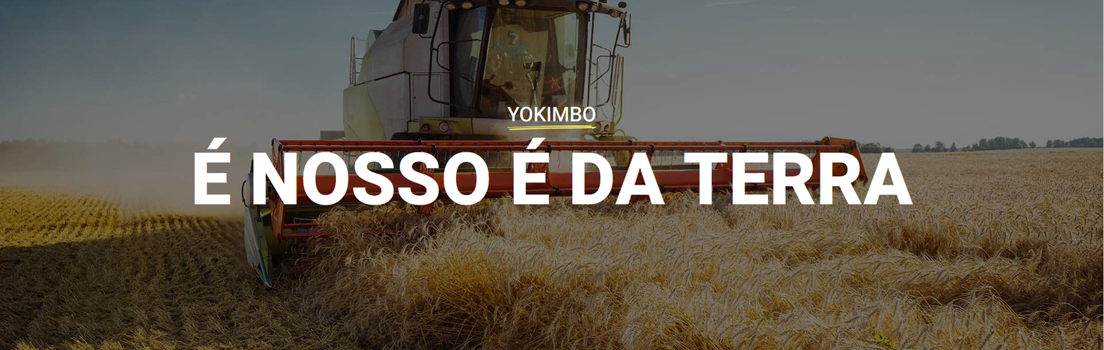 Banner de YOKIMBO