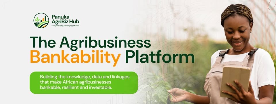 Banner de Panuka AgriBiz Hub