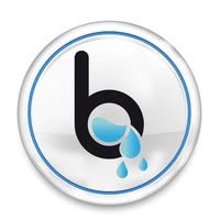 Logo de Bibagry Limited