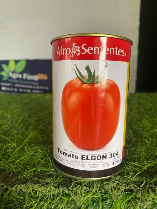 Tomate Elgon 304