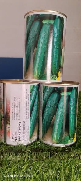Pepino Marketemor