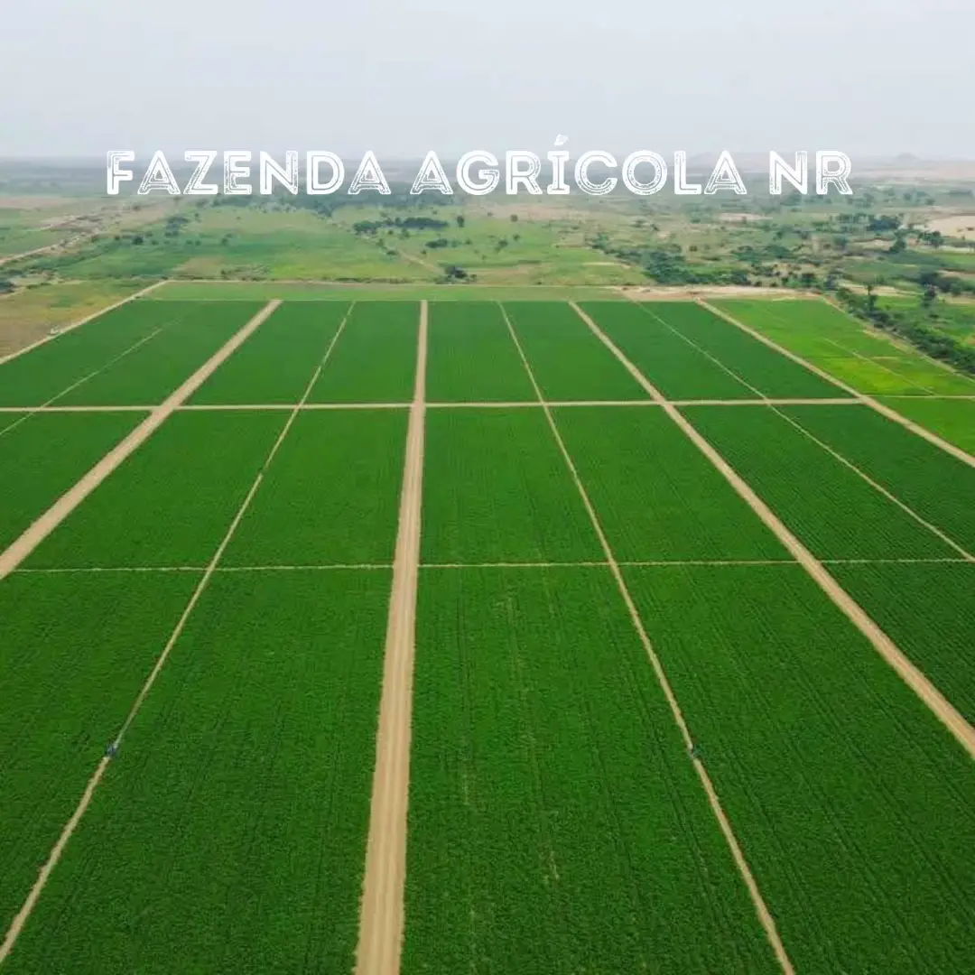 Fazenda Agrícola NR
