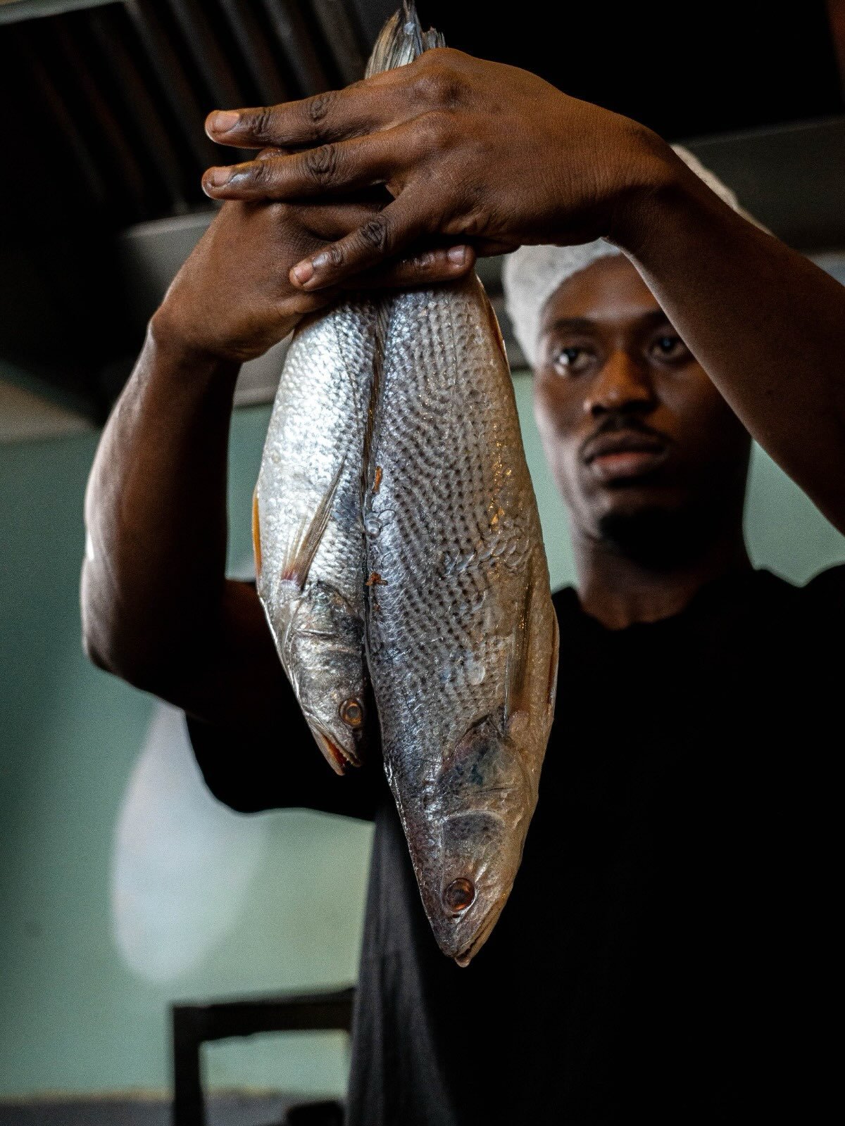 No Mercado do Peixe, temos o compromisso de garantir peixe fresco todos os dias.