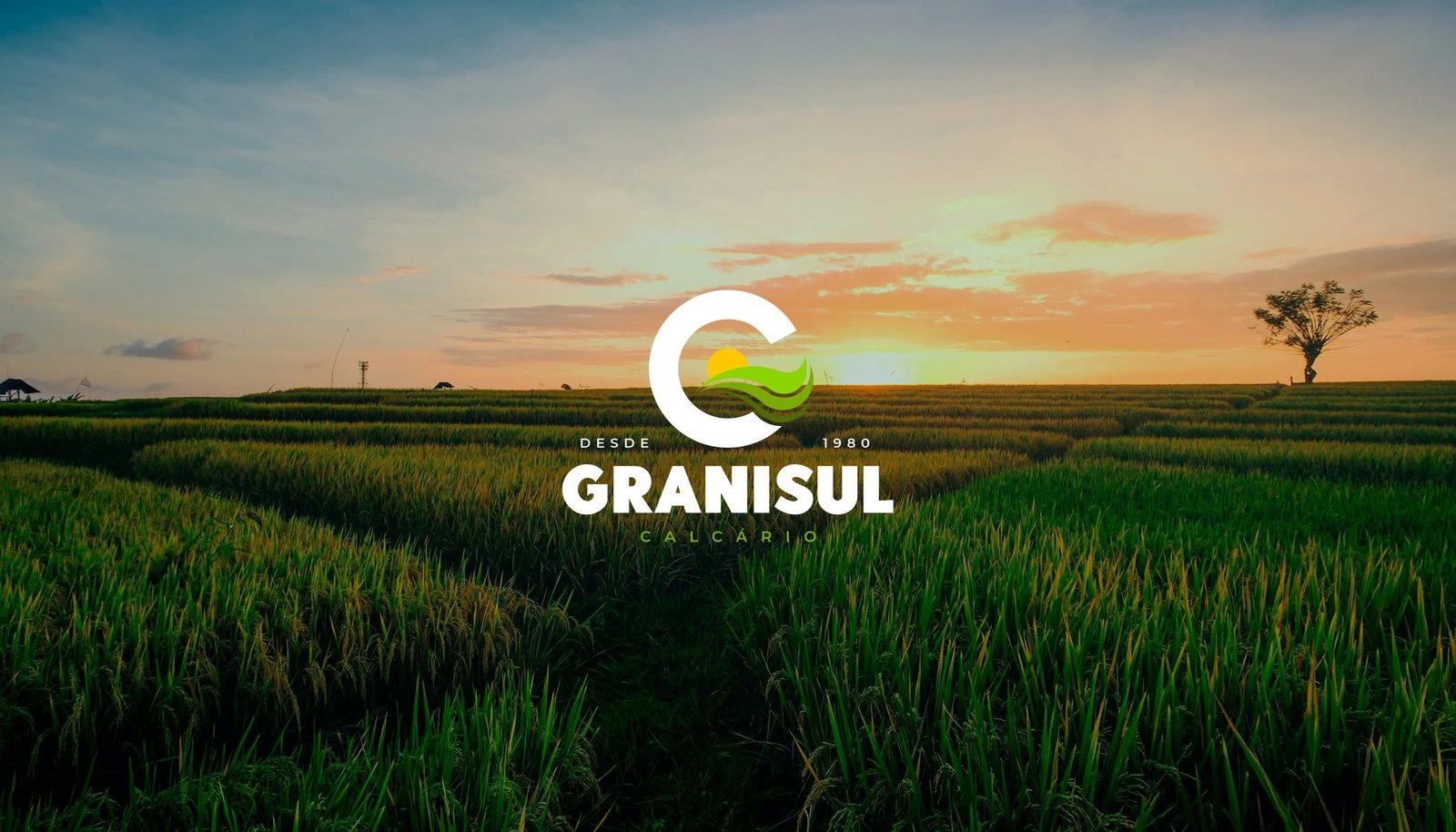 Banner de Granisul